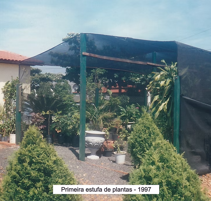 História Multiverde