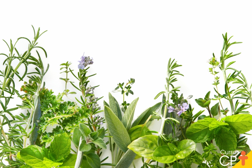 Plantas Medicinais