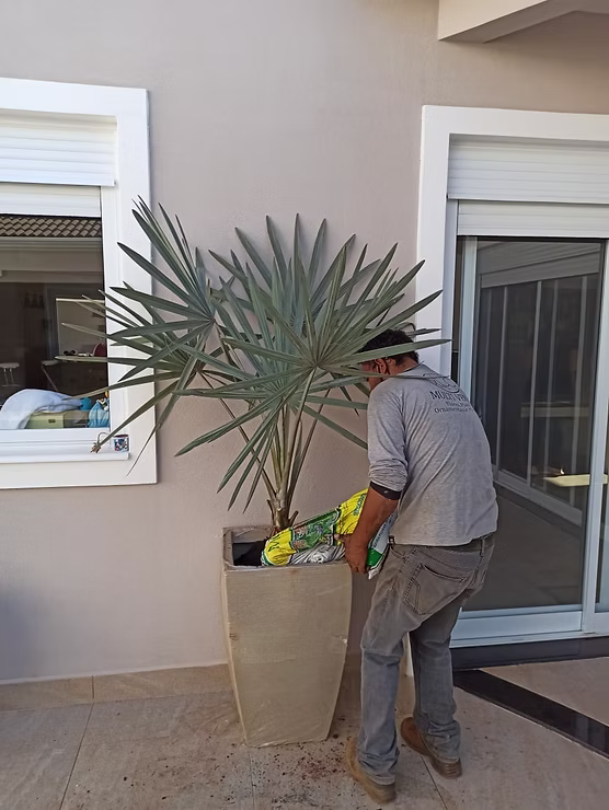 Manutenção de áreas verdes