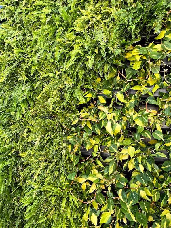 Jardim vertical